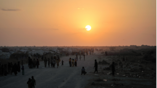 Humanitarian Response to Conflict and Disaster | Harvard University